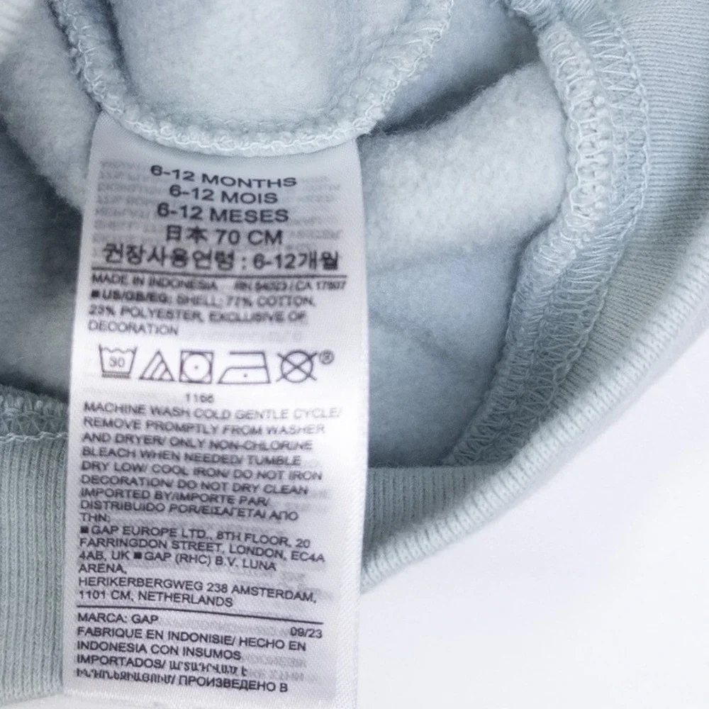 Gap Sweatshirt Kids 6-12 Months Blue‎ Brannan Bear Embroidered Fleece Pullover
